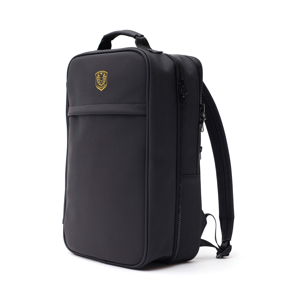 VINGA Baltimore TCS Travel Rucksack
