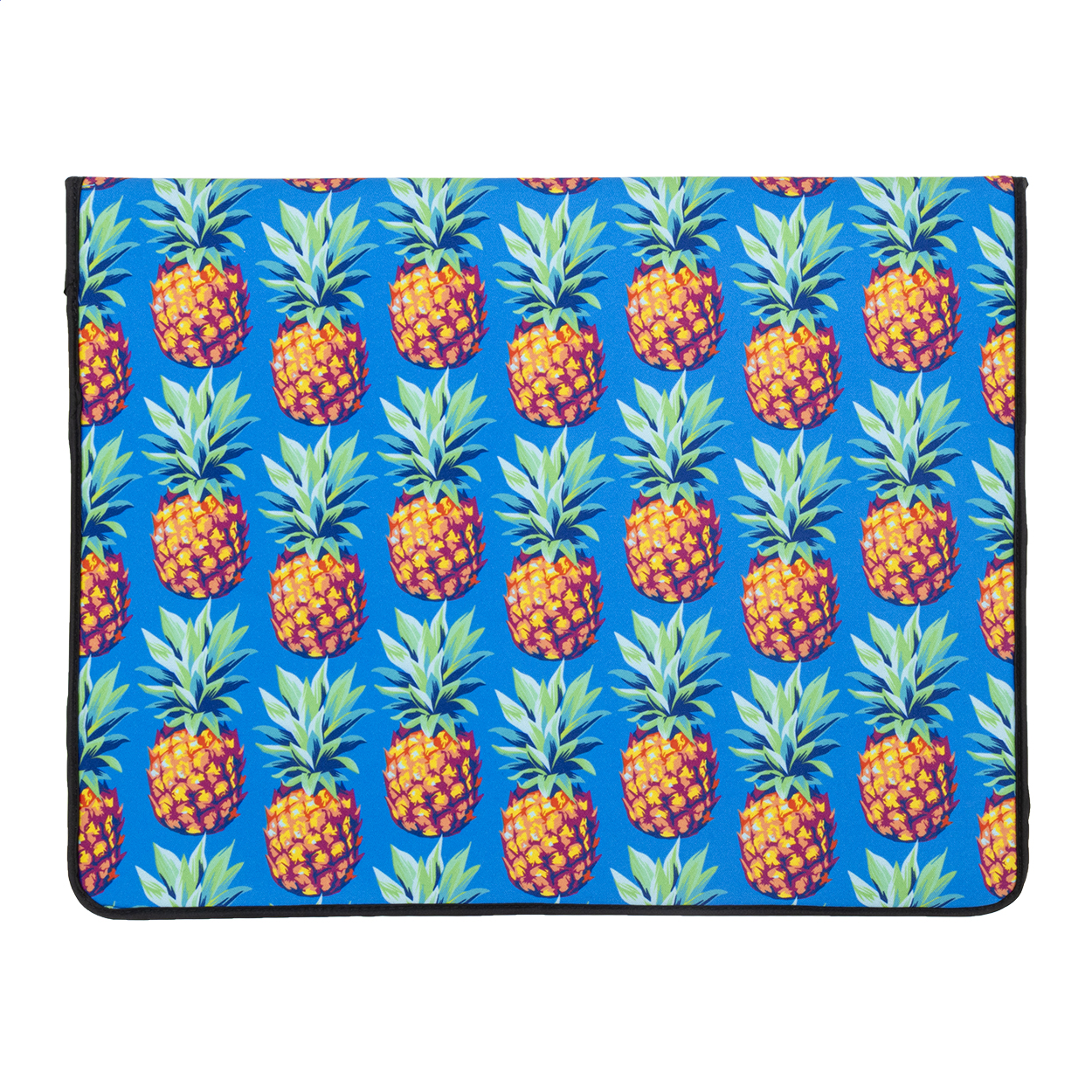 Individual document laptop bag RPET