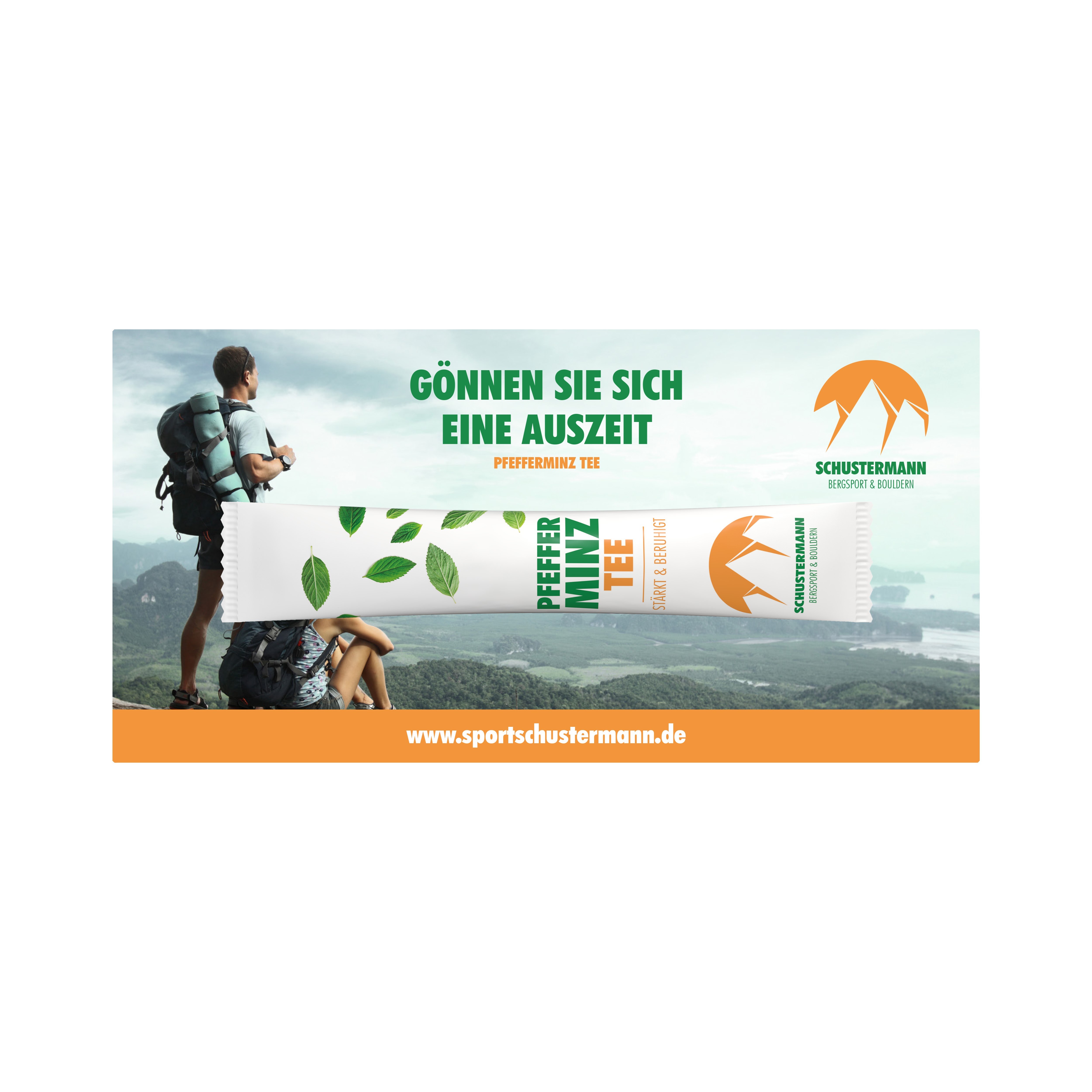 TeaFlyer DIN Lang inkl. 1 TeaStick "Individ. Design"