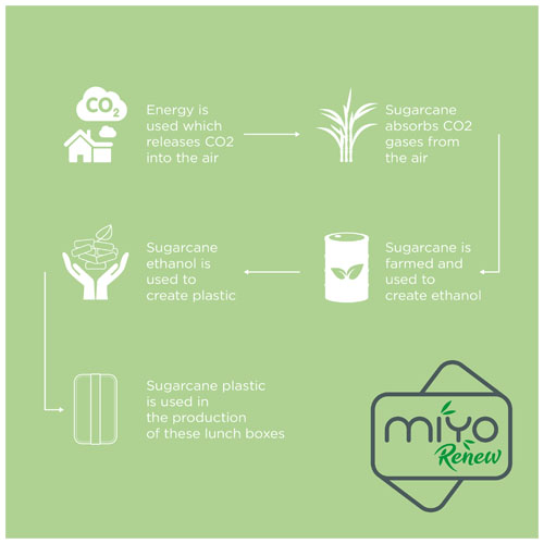 MIYO Renew 700 ml Lunchbox - elfenbeinweiß / kieselgrau
